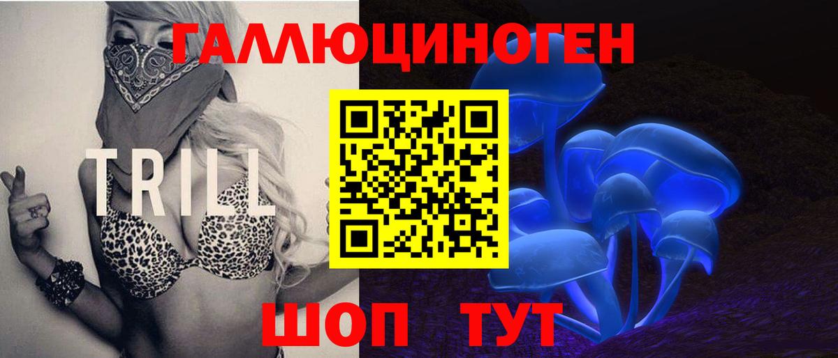 Псилоцибиновые грибы мицелий Новотроицк